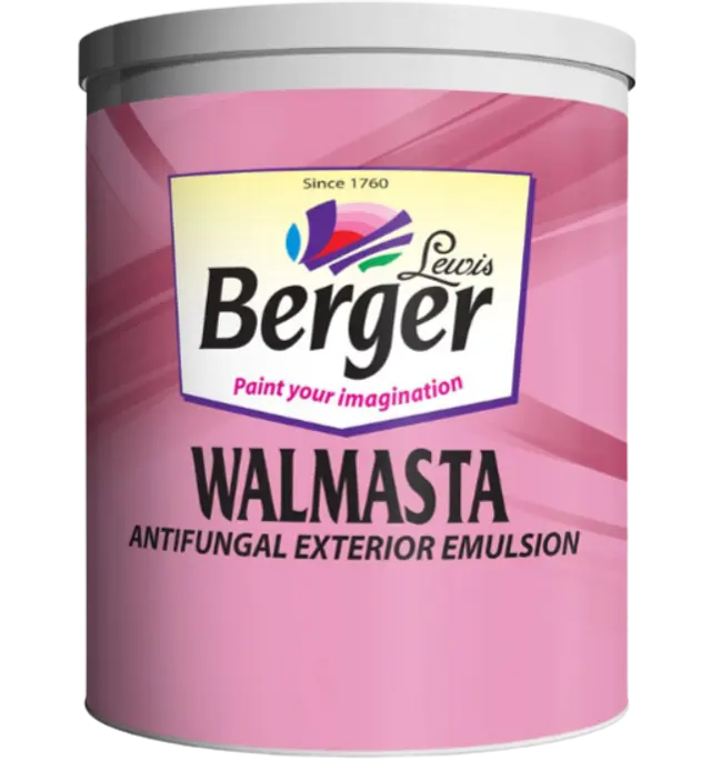 Walmasta Exterior paint